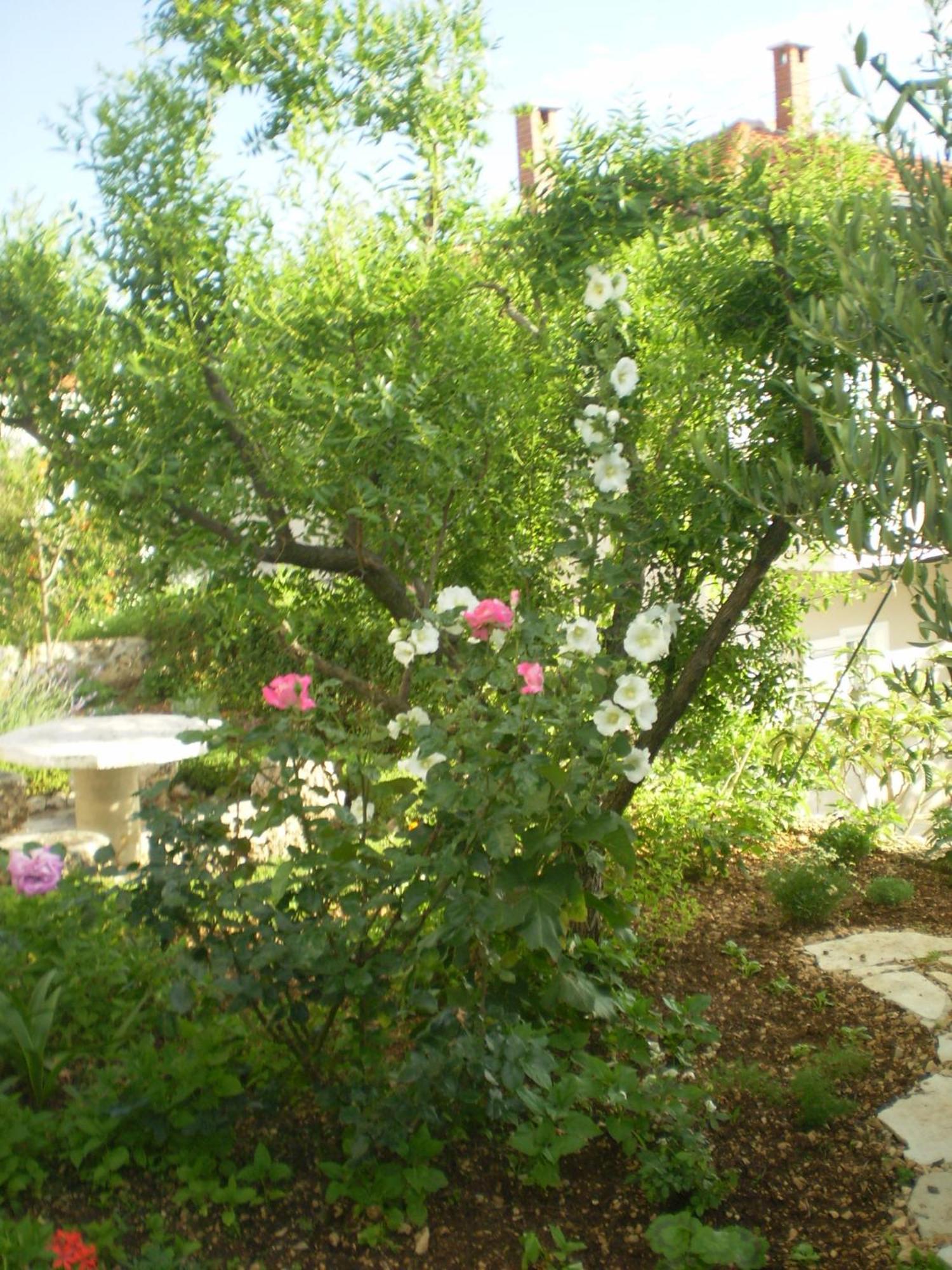 Apartmani Villa Marija Omiš Exterior foto